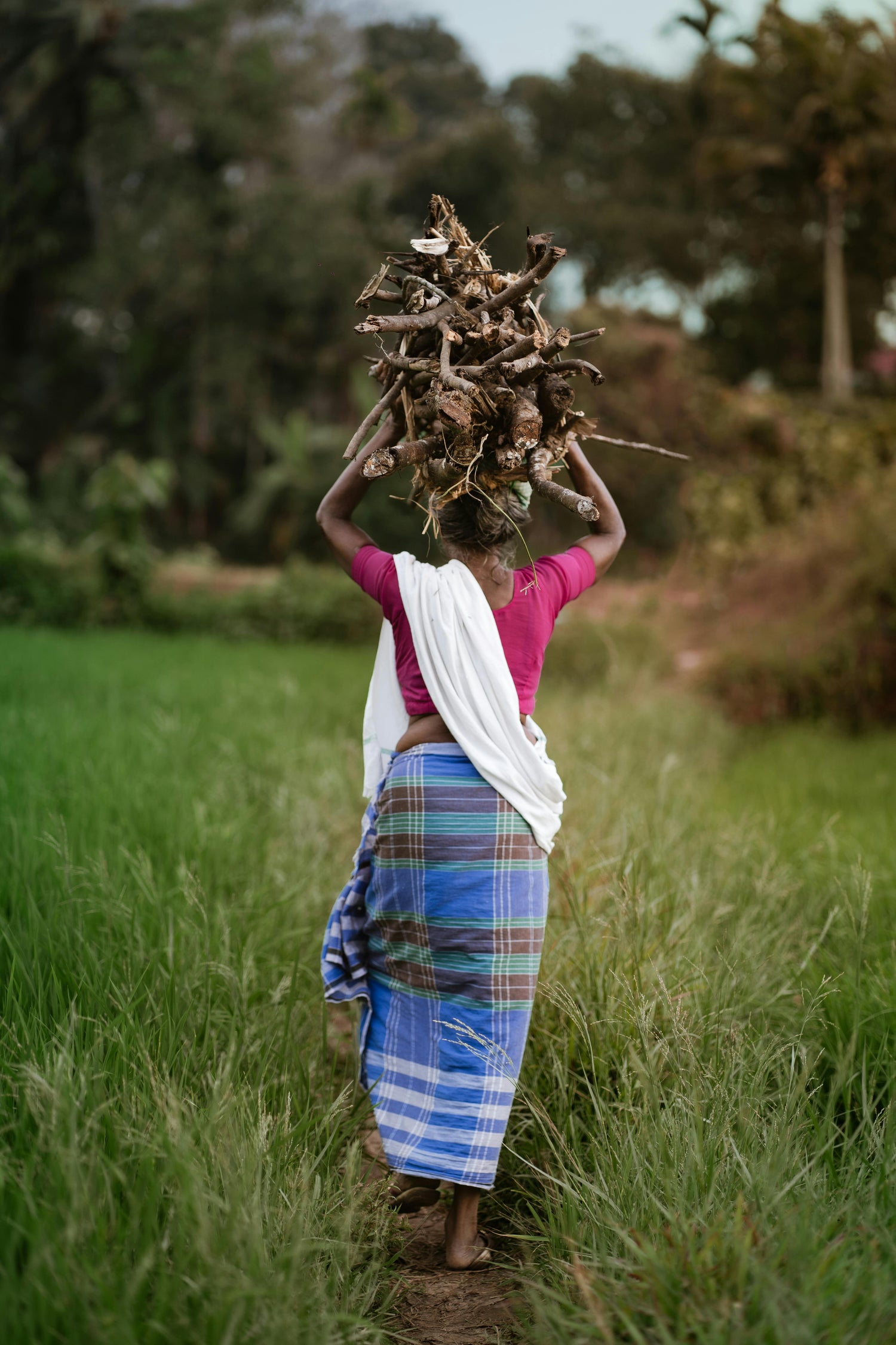 Vetiver farmer carrying wood